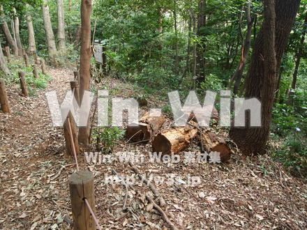 林道の写真素材 W-008613