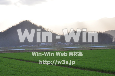 お米の写真素材 W-008280