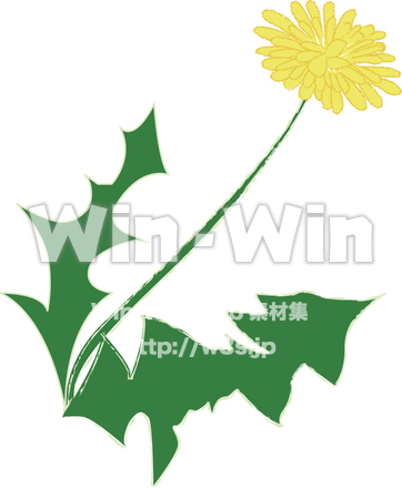 たんぽぽのCG・イラスト素材 W-009886