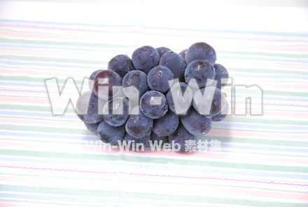 ぶどうの写真素材 W-009692