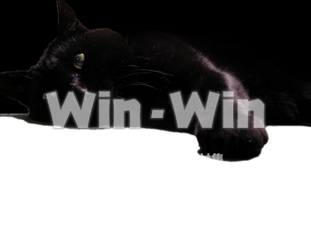 猫の写真素材 W-009137