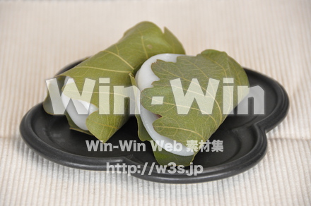 柏もちの写真素材 W-008371