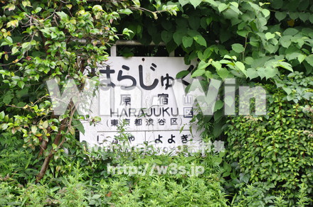 駅の写真素材 W-009482