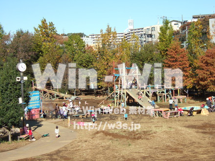 川崎市子ども夢パークの写真素材 W-008909