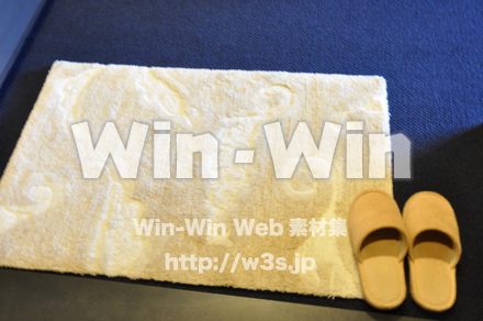 玄関の写真素材 W-008531