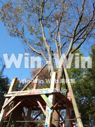 川崎市子ども夢パークの写真素材 W-008944