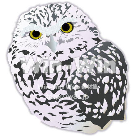 ふくろうのCG・イラスト素材 W-009618