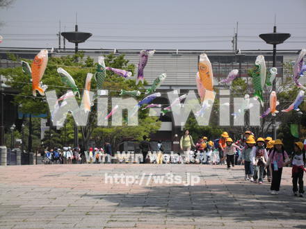 鯉のぼりの写真素材 W-009369