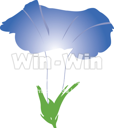 朝顔のCG・イラスト素材 W-009881