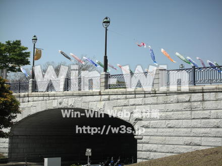 鯉のぼりの写真素材 W-009368