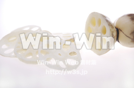 蓮根の写真素材 W-009784