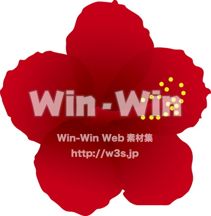 ハイビスカスのCG・イラスト素材 W-009888