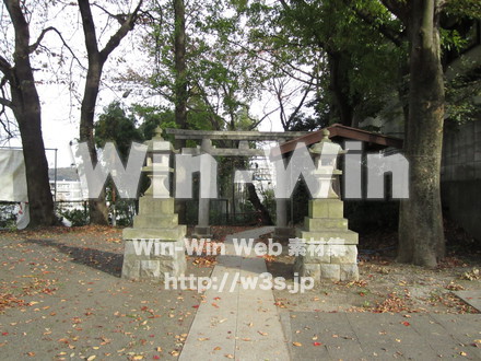 五反田神社の写真素材 W-008573