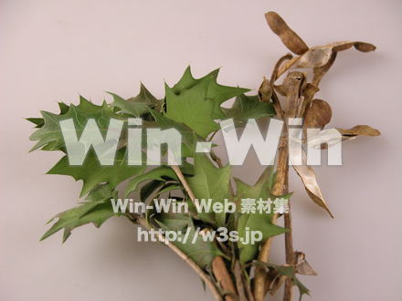 節分の写真素材 W-008431