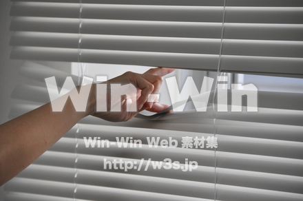 手の写真素材 W-009757