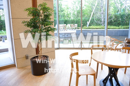 テーブルのある風景の写真素材 W-008445