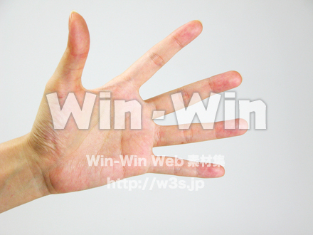 手の写真素材 W-009752