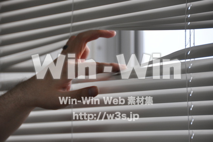 手の写真素材 W-009756