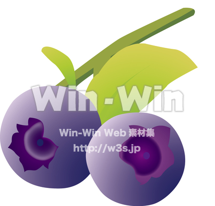 ブルーベリーのCG・イラスト素材 W-009262
