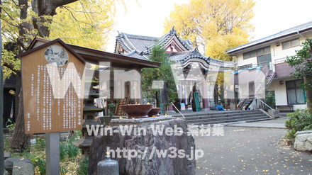 若宮神社（大師）の写真素材 W-008470