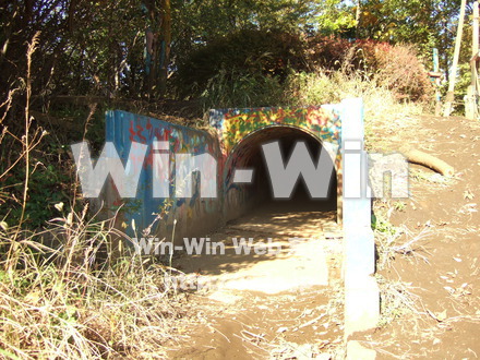 川崎市子ども夢パークの写真素材 W-008934