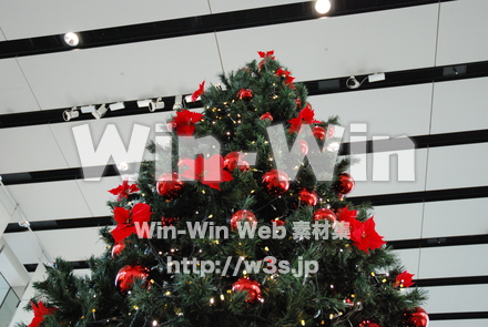 クリスマスの写真素材 W-010778