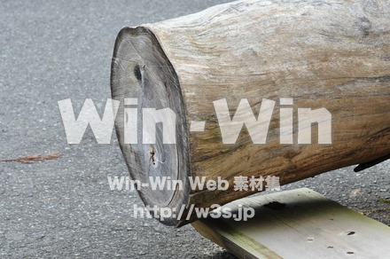 丸太の写真素材 W-010187