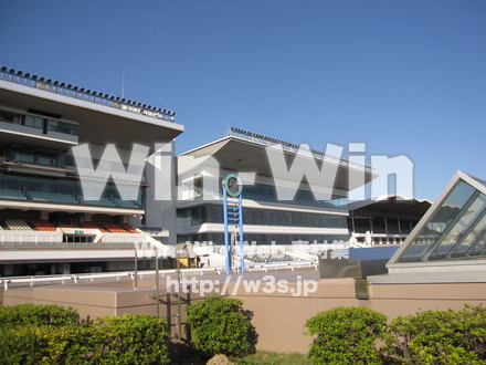 川崎競馬場の写真素材 W-010838