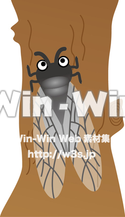 蝉のCG・イラスト素材 W-010475