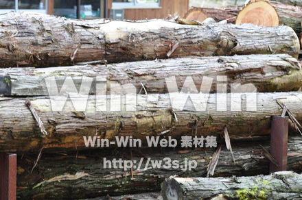 木材の写真素材 W-010185