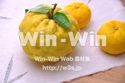 柚子の写真素材 W-011660