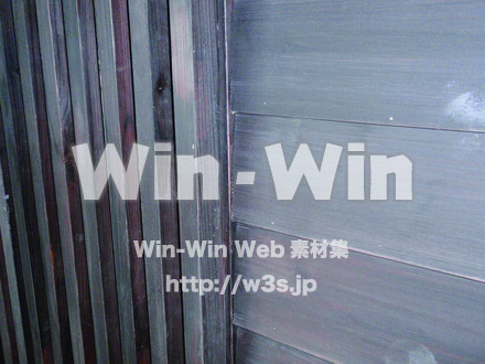 木の表情の写真素材 W-010869