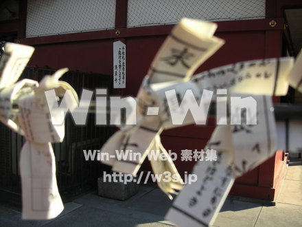 正月の写真素材 W-010793