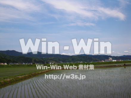 田んぼの写真素材 W-010732