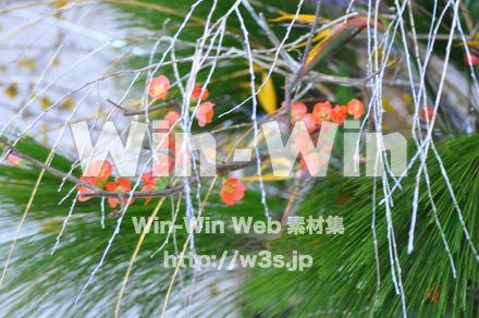 正月の写真素材 W-010805