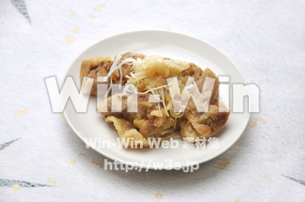 竜田揚げの写真素材 W-011244