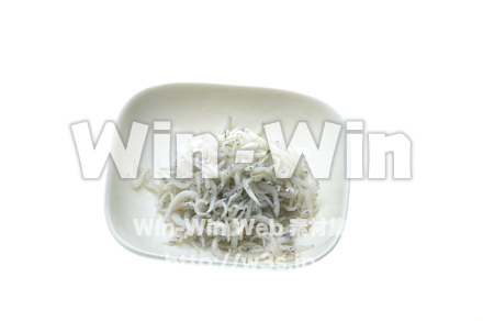 しらす干しの写真素材 W-011581