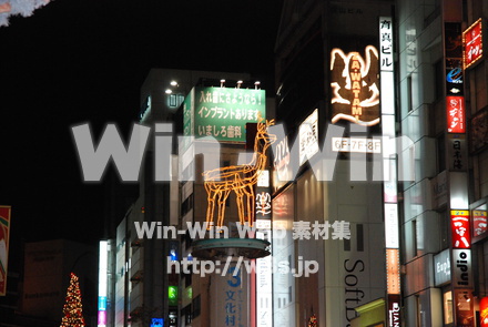 クリスマスの写真素材 W-010782