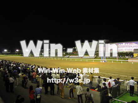 川崎競馬場の写真素材 W-010849