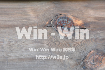 木の表情の写真素材 W-010867