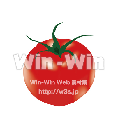 とまとのCG・イラスト素材 W-010422