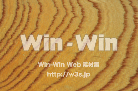 木の表情の写真素材 W-010857