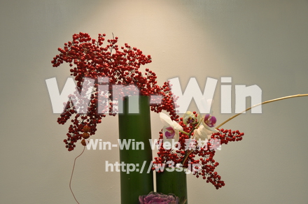 正月の写真素材 W-010809