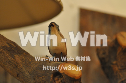 小鳥の写真素材 W-011087