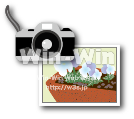 カメラとパンジーの写真のCG・イラスト素材 W-010104