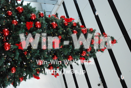 クリスマスの写真素材 W-010776