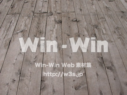 木の表情の写真素材 W-010875