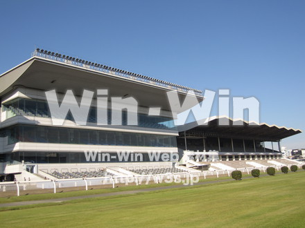 川崎競馬場の写真素材 W-010836