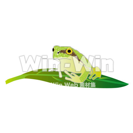 カエルのCG・イラスト素材 W-010683