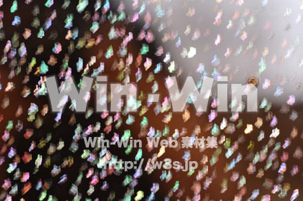 木の表情の写真素材 W-010862